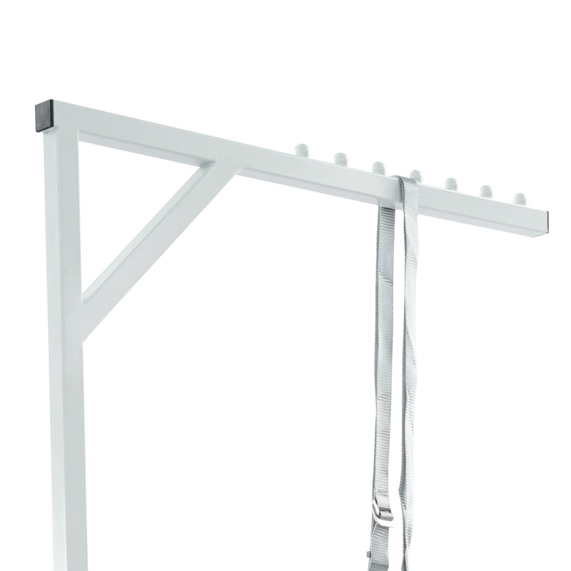 Heavy Duty Pull Up Assist Bar, White