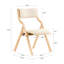 Folding Chair Set of 2