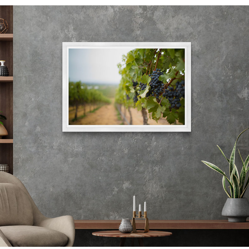 Raisins dans le vignoble, Cadre blanc, H 29 po x l 42 po x P 1,5 po