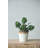 Ceramic / Porcelain Table Vase-690575367