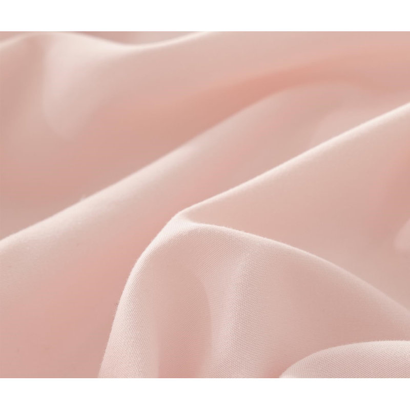 The Comforter Set Ruffle Comforter with 2 Pillowcase Soft, Blush Pink, Twin