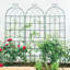 71 treillis de jardin en métal 71 po x 19,7 po, support pour plantes d'extérieur rouille, noir, assemblage simple, treillis galvanisé en tube 4 antirouille, facile à installer, matériau robuste
