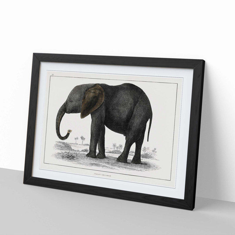 Elephant by Oliver Goldsmith - Picture Frame Painting Print, Black Framed, 48cm H x 65cm W x 2cm D