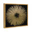 «Abstract Sunburst Golden Night», impression-119864312-51241196-51241197