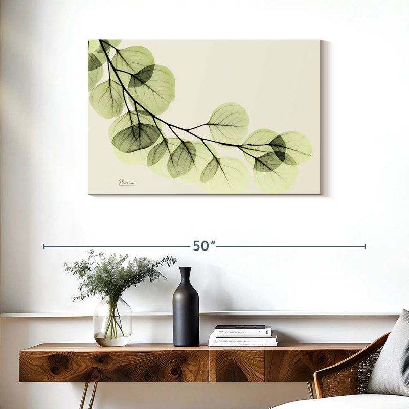 Harnek Mint Eucalyptus, 24" H x 36" W