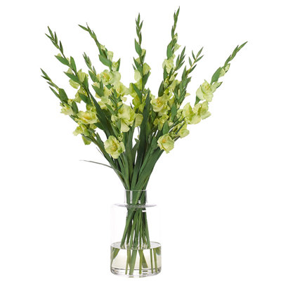 Gladiola, Green, Glass Vase, 26wx25dx39h