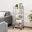 Erwin Metal Kitchen Trolley