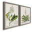 «Allurant Botanical I», ensemble de 2 reproductions d'art sur toiles-1527522464-1527522520