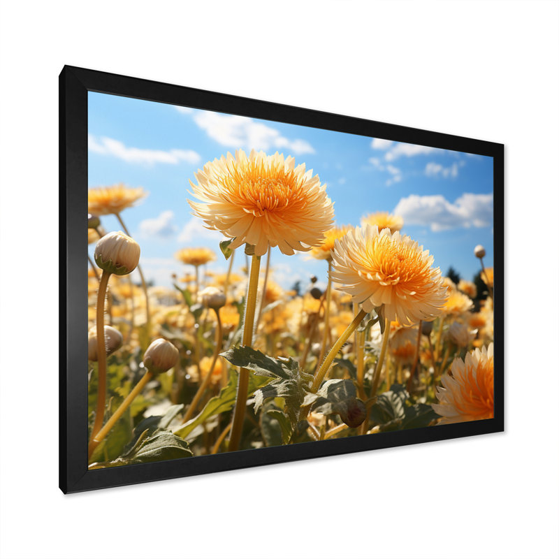 Dandelion Sunlit Petals I - impression sur toile florale, H 34 po x l 44 po x P 1,5 po, Cadre simple noir