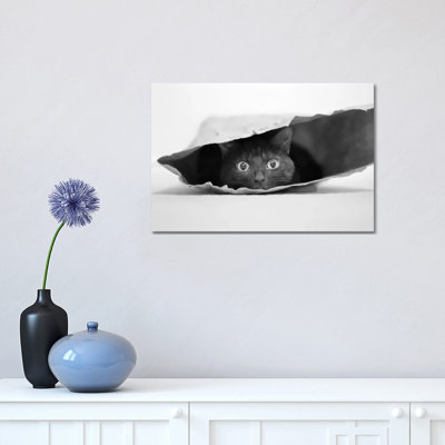Cat In A Bag by Jeremy Holthuysen - Wrapped Canvas Print