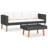 Dayami 2 Piece Lounge Chair with Cushions-1699030389-1699030388