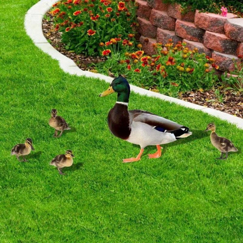 5 piquets de jardin pour animaux, décorations de jardin de canard robustes et réalistes