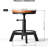 Erandekar Swivel Adjustable Height Counter Stool with Metal Frame