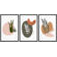 Cadre flottant style Mid-Century, 3 pièces, impression sur toile-79731336-79731337