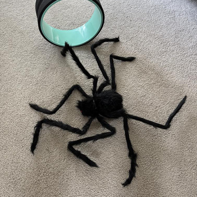 CHBOP 3 Pezzi Halloween Creepy Giant Spider Decor, 75cm Spaventoso Grande Ragno Realistico Peloso Per Interni, Esterno, Finestra, Tetto, Albero
