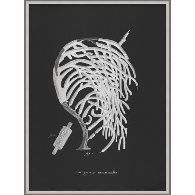 Briny Deep 2 Framed Print