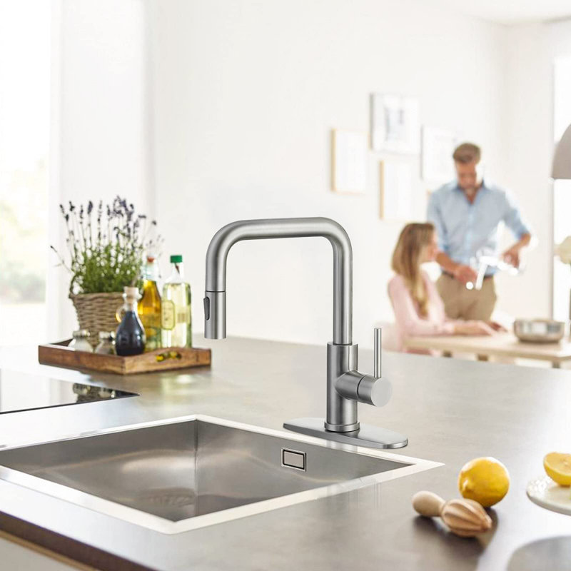 Robinet d'évier de cuisine, avec douchette extractible, nickel brossé, robinet à poignée simple en acier inoxydable