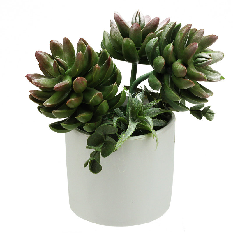 Plantes grasses artificielles en pot 8 po