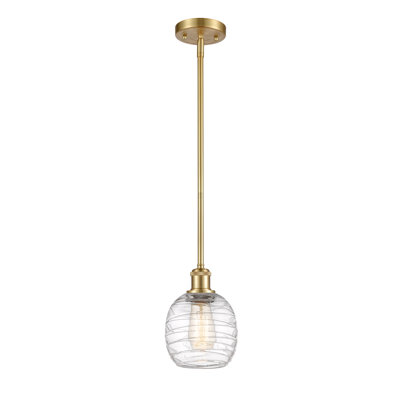 Luminaire suspendu simple à 1 lumière Amila