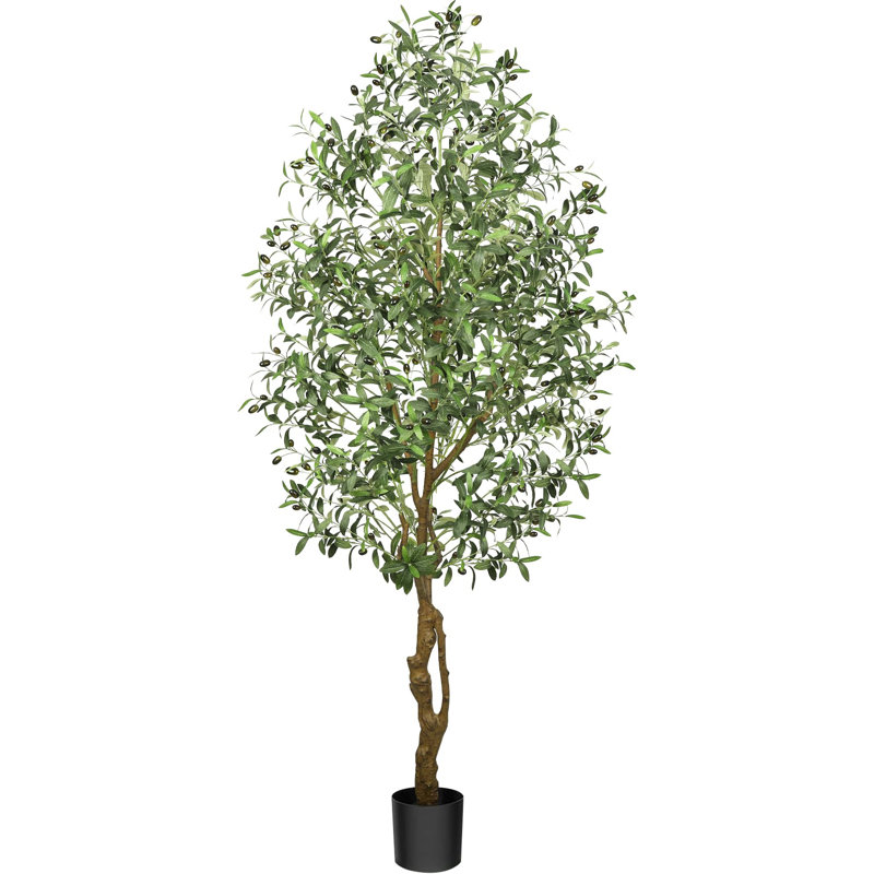 Olive Tree in Pot with Realistic Leaves and Natural Trunk,Olive Plants with Fruits for Home Decor, 82.7" H x 5.9" W x 5.9" D