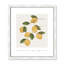 Amalfi Lemons - cadre photo, impression-66318799-66318827