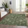 Machine Washable Indoor/Outdoor Chayden ACN1087 Green Rug