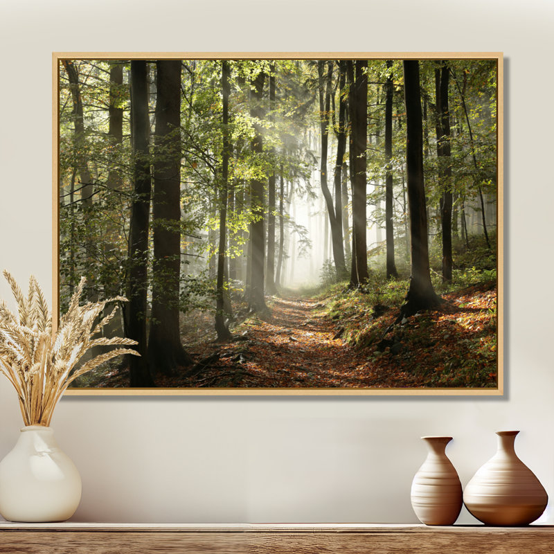 «Green Fall Forest with Sun Rays - Forest», reproduction de photo, H 34 po x l 44 po, Reproduction avec cadre flottant