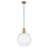 1 Light Pendant with Clear Glass-111187490-111187492-111187497