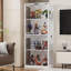 Display Cabinet