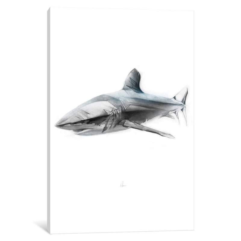 " Shark I " by Alexis Marcou, Black Framed Fine Art Paper, White, 32" H x 24" W x 1" D