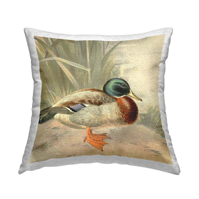 Coussin Mallard Duck Scene