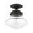 Jarek 1-Light 9" Semi Flush Mount-449286831