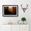 Sunrays in an Autumn Forest in Abstract - Framed Print-55727146-55727156