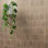 Ackland Serata Harmona 4.5 in. x 9 in. Matte Porcelain Fluted Wood Look Wall Tile