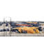 Gosnold Darian Clemson Mori-325874346