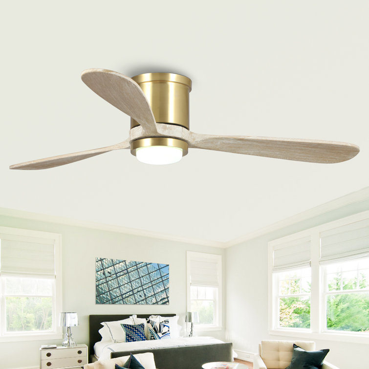 Katya 52'' Ceiling Fan with LED Lights