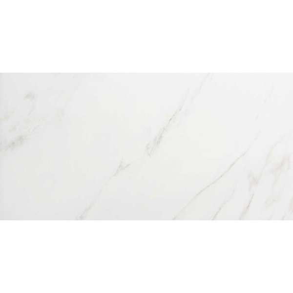 Huntington 24" x 48" Polished Porcelain Floor and Wall Tile