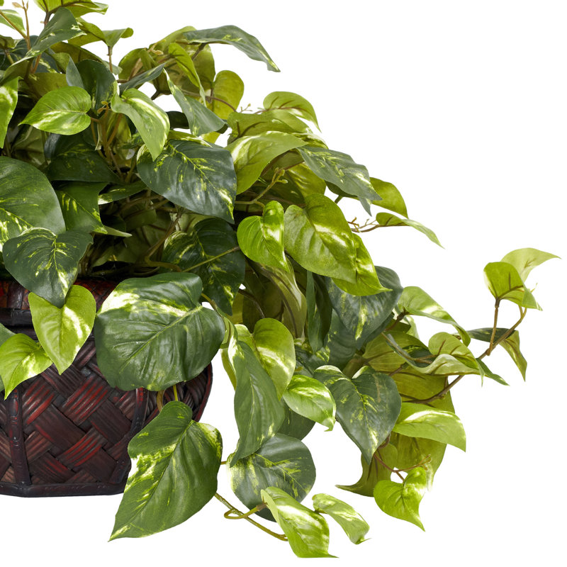 15'' Faux Pothos Plant in Wood Planter