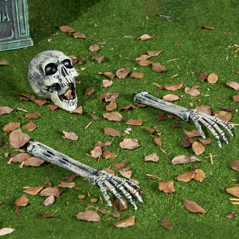 3 piquets de jardin squelette d'Halloween, décoration de crâne révolutionnaire