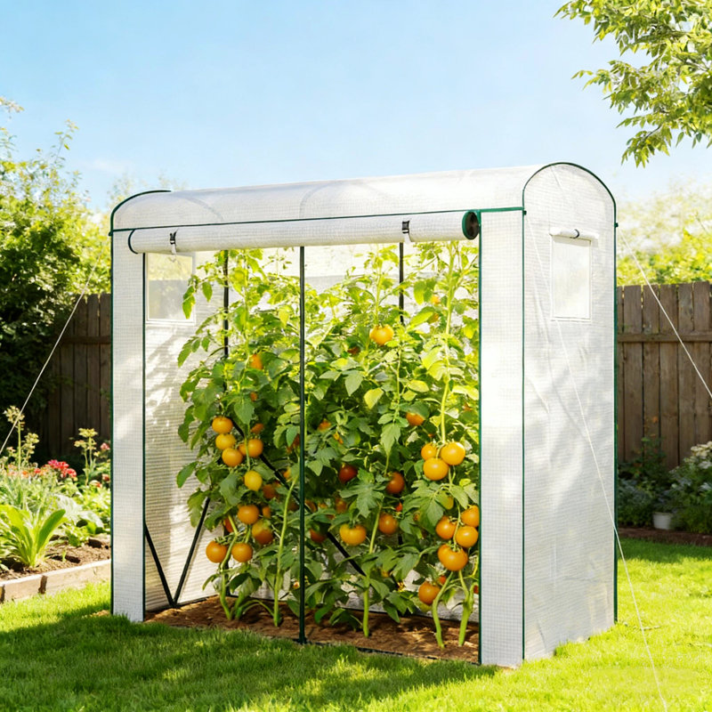 Mini Greenhouse, Modern Greenhouse For Outdoor, Dark Green/White