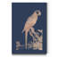 «Parrot», reproduction d'art sur toile-2129233995