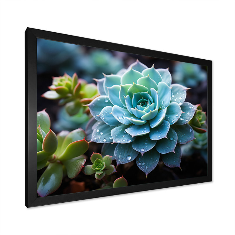 Bleu succulent serein, H 24 po x l 32 po x P 1 po, Cadre photo noir