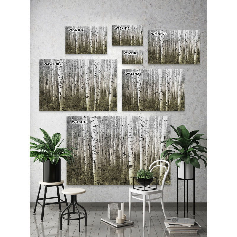 « aspen highlands » par parvez taj,, reproduction de photo sur toile tendue, H 12 po x l 18 po