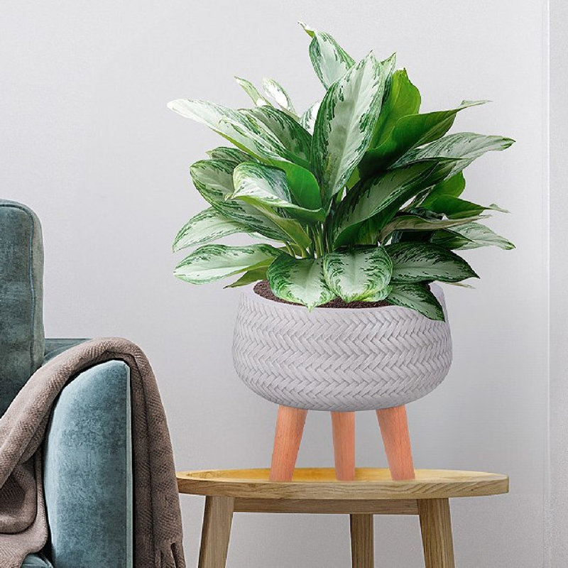 Concrete Effect Bowl Planter on Hardwood Legs, Round Indoor Plant Pot Stand for Indoor Plants, Shallow Planter with Plaited Pattern