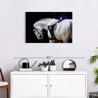 Sireci White Horse And Equestrian