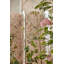 Bambi Fabric-576594360