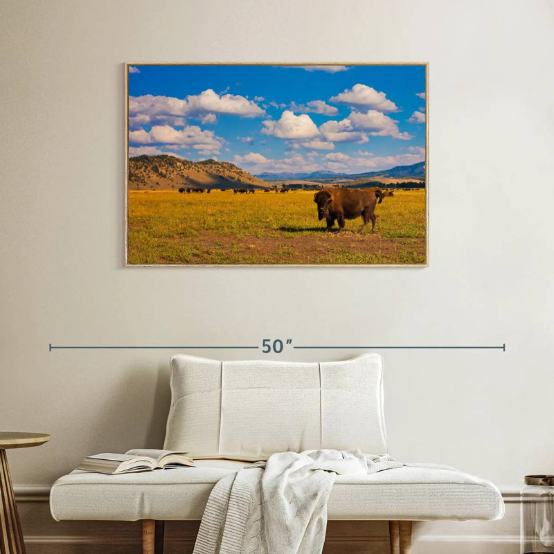 Bison dans le parc national, Cadre flottant en bois naturel, 40 po x 27 po