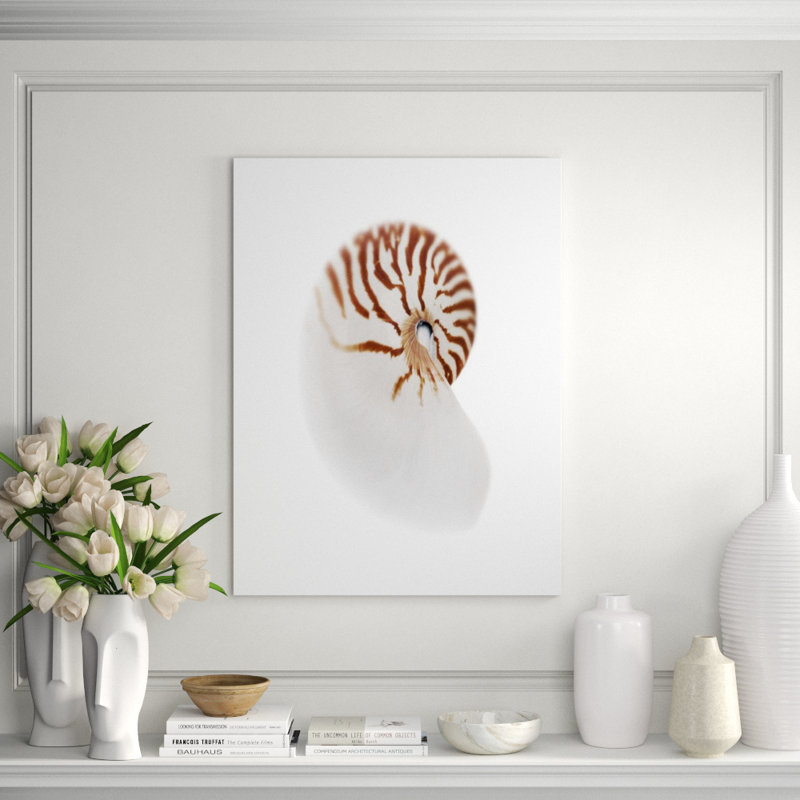 Sea Shell In White III Print by Sofia Fox, Glass Coat, 48" H x 36" W x 1.5" D