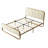 Nelsie Upholstered Platform Bed with Velvet Tufted Headboard-1002191314-996180397