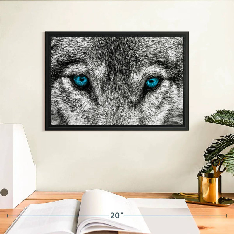 Cool Wolf, 13" X 9", Floating Frame Black